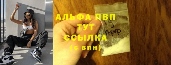 шишки Белокуриха