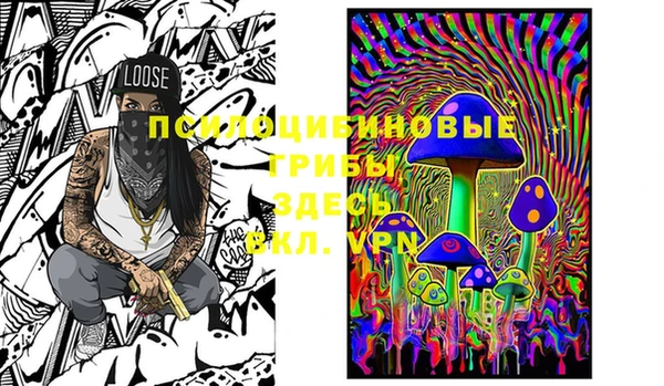 a pvp Пестово